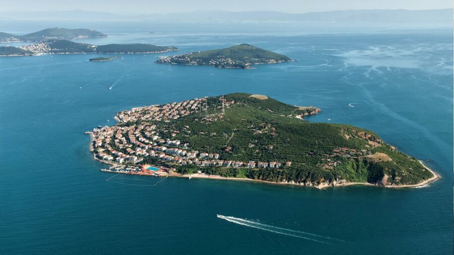 Istanbul: Full Day Princes Islands Guided Tour with Lunch - Büyükada, lunch, and the main island break