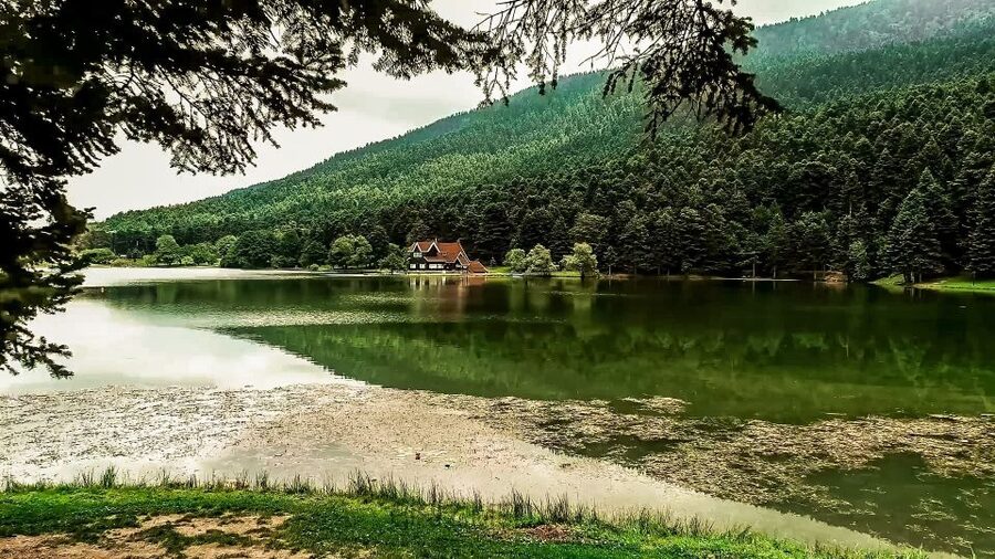 Istanbul: Full-Day Sapanca Lake and Masukiye Tour with Lunch - Leaving Istanbul for Masukiye’s forests