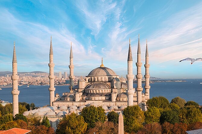 Istanbul Highlights: Small-Group Tour with a Local Expert - Grand Bazaar: shopping with a time limit
