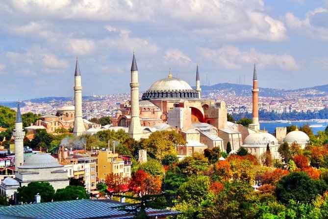 Istanbul Highlights Small-Group Walking Guided Tour - Walking, transport, and the real length of the day