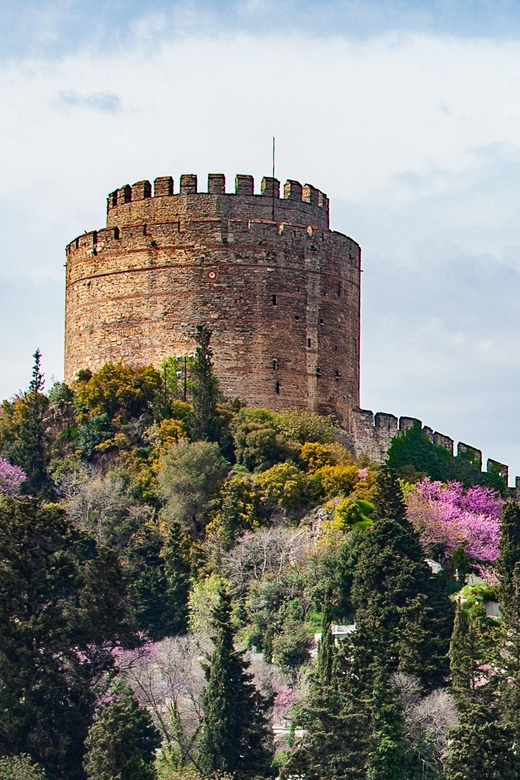 Istanbul: Morning or Sunset Cruise with Guide and Snacks - Seeing Istanbul from the Bosphorus
