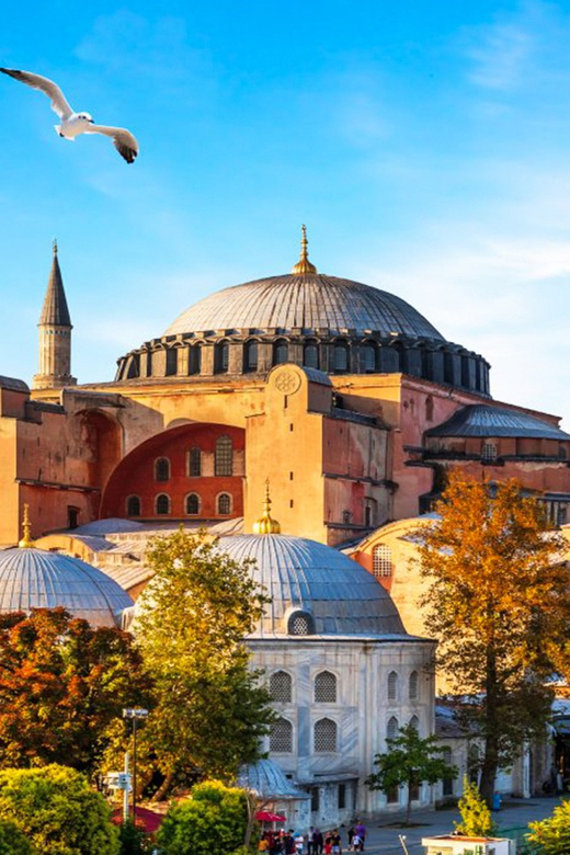 Istanbul: Old City Full-Day Tour -(Entry Fees Inculucing) - The Sultan Tombs near Hagia Sophia