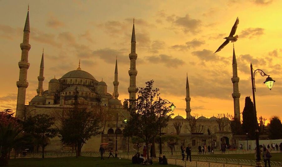 Istanbul: Old City Full-Day Tour -(Entry Fees Inculucing) - Lunch, transport, and the walking load