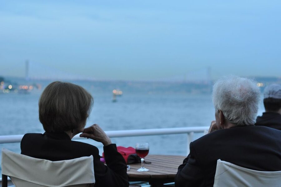 Istanbul: Pasha Istanbul Dinner Cruise - Why the Bosphorus at night is the real highlight