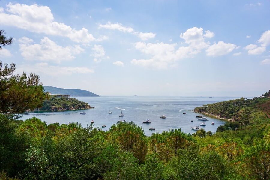 Istanbul: Princes' Islands Cruise w/Music, Lunch & Transfer - Key points to know before booking