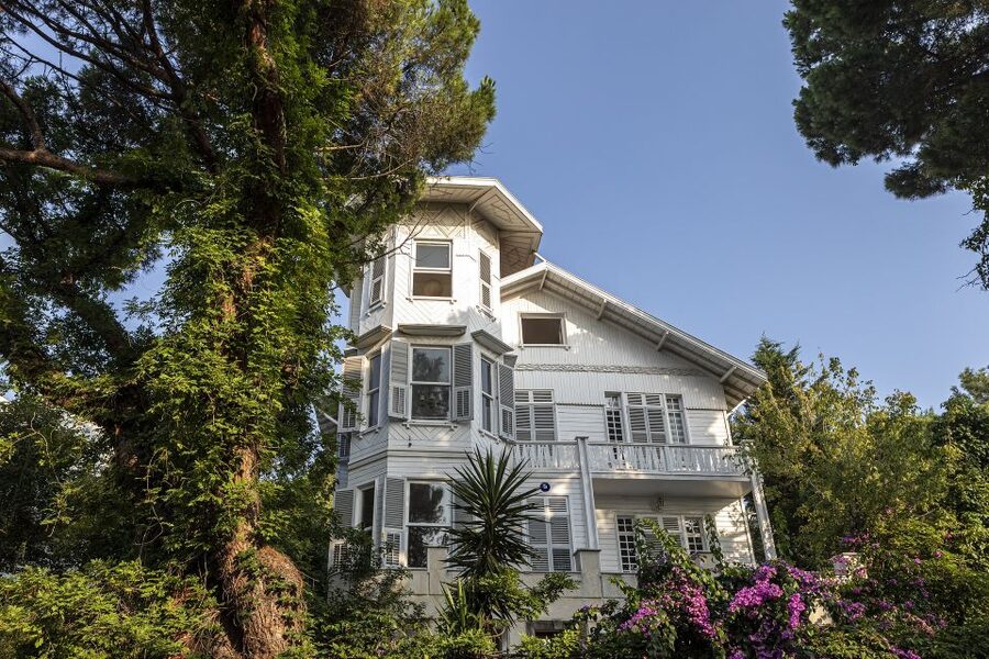 Istanbul: Princes' Islands Cruise w/Music, Lunch & Transfer - Music makes this a lively cruise