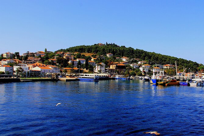 Istanbul: Princes Islands Tour with Heybeliada and Buyukada - Three hours to make your own plan on Büyükada