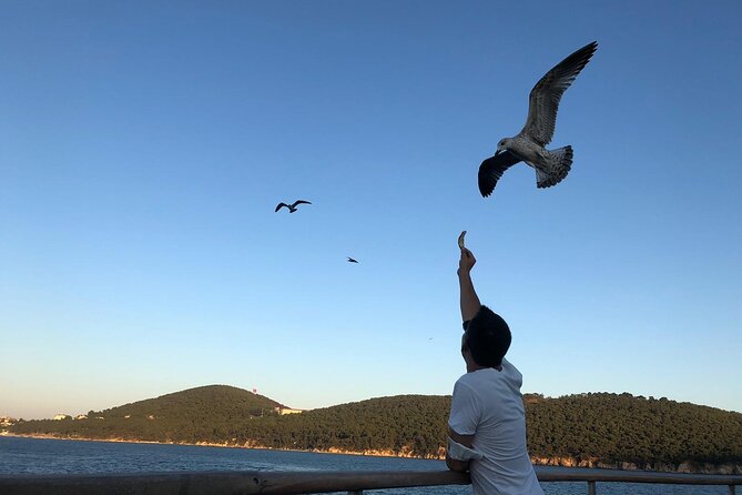 Istanbul: Princes Islands Tour with Heybeliada and Buyukada - Swimming in summer, walking in cooler months