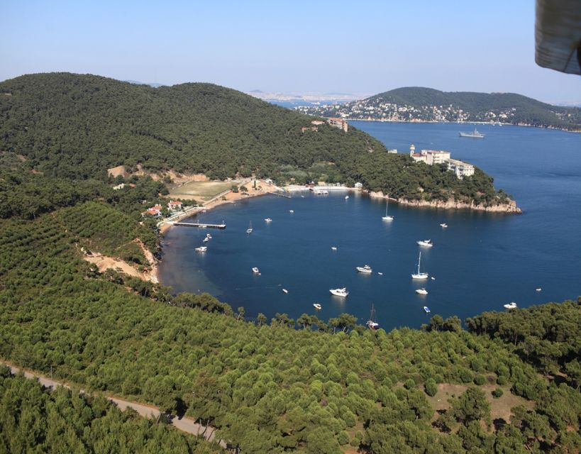 Istanbul: Princes' Islands Tour with Lunch and Transfers - Buyukada: old villas, pine trees, and time to wander