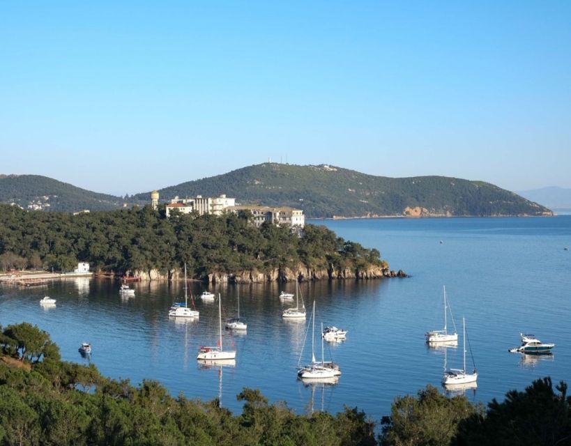Istanbul: Princes' Islands Tour with Lunch and Transfers - The return to Istanbul