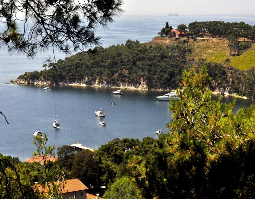 Istanbul: Princes' Islands Tour with Lunch and Transfers - What the $29 price really covers