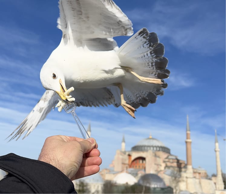 Istanbul: Private City Tour with Transportation - A private route through Istanbul’s old city