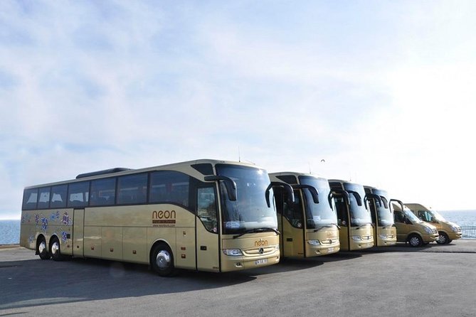 Istanbul Private Transfer from Airport to City Hotels - The vehicle and the private ride