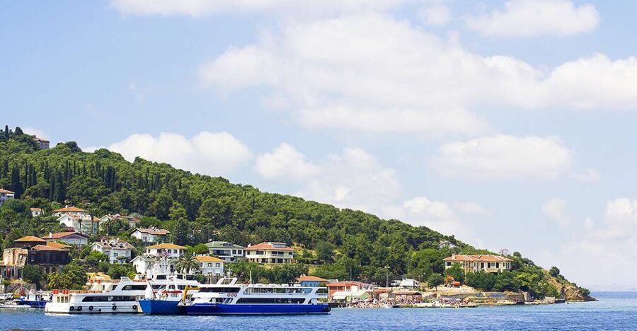 Istanbul: Round-Trip Ferry Tickets to the Princes' Islands - Who should book this Büyükada trip?