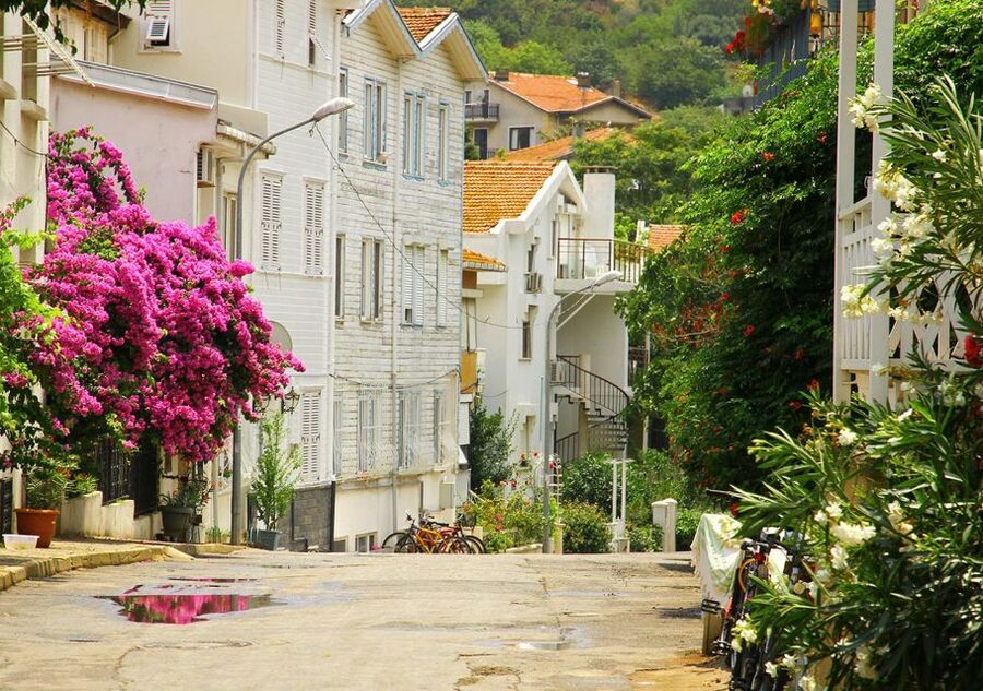 Istanbul: Round-Trip Ferry Tickets to the Princes' Islands - Is the $11 ticket good value?