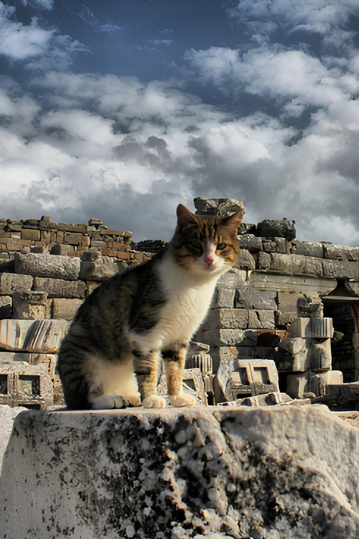 Izmir : Ephesus and Sirince Guided Tour - The Virgin Mary House on Bülbül Mountain