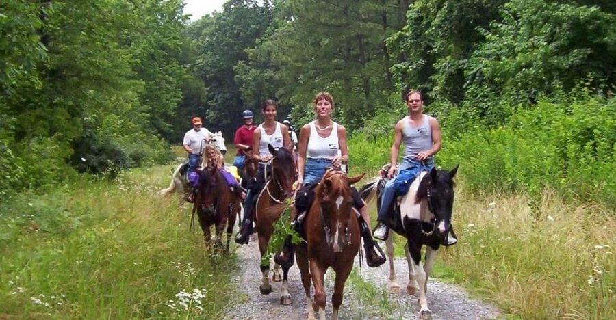 Kemer Horse Safari, pick up from Kiris, Beldibi, Goynuk - Should you book it?