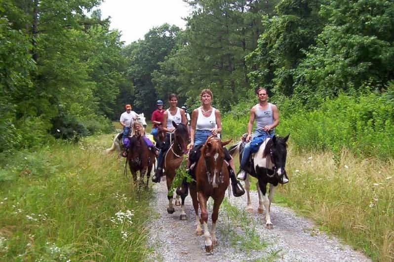 Kemer Horse Safari, pick up from Kiris, Beldibi, Goynuk - A gentle ride into the Kemer Mountains