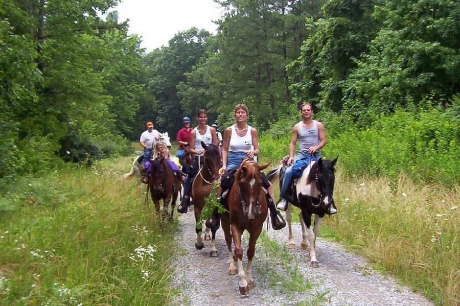 Kemer Horse Safari, pick up from Kiris, Beldibi, Goynuk - Practical details that can improve your ride