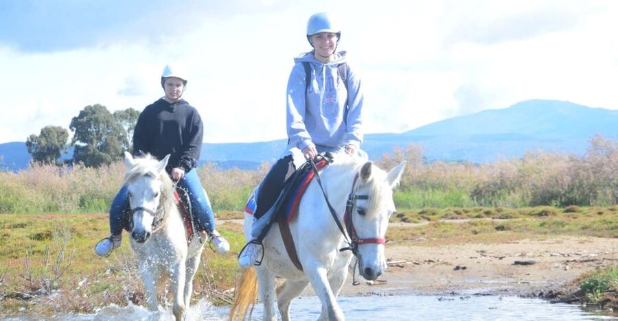 Kusadasi: Beach and Forest Horse Riding Tour - Leaving Kusadasi for the horse safari park
