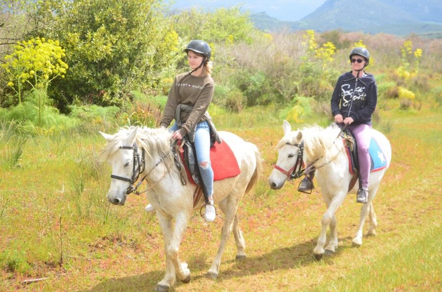 Kusadasi: Beach and Forest Horse Riding Tour - Pine trails, olive groves, and village views