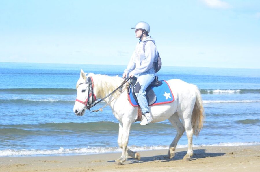 Kusadasi: Beach and Forest Horse Riding Tour - Is $34 a fair price?