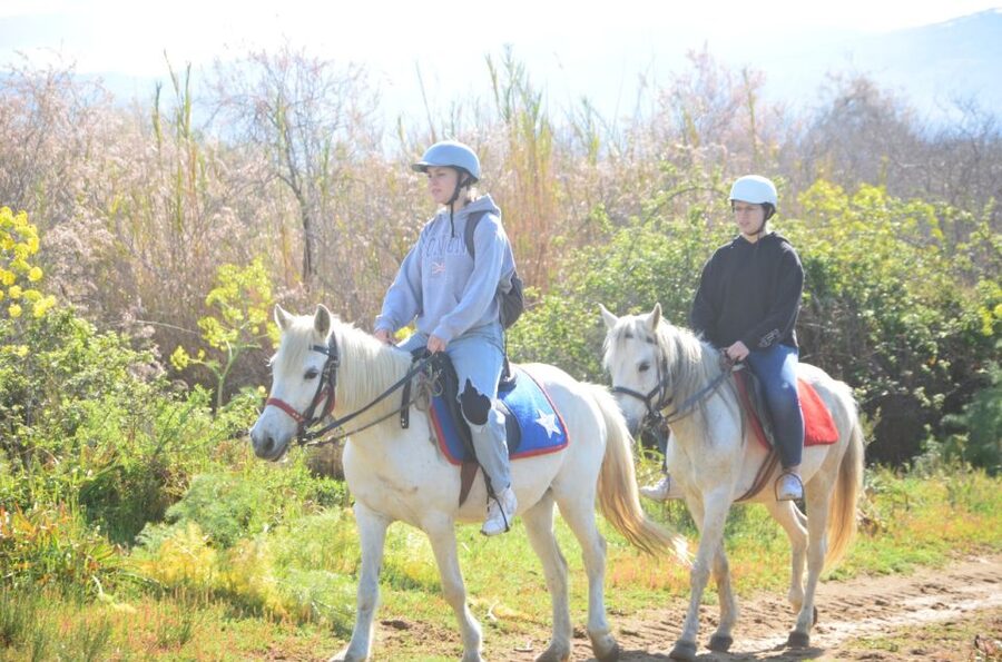 Kusadasi: Beach and Forest Horse Riding Tour - Meeting the horses and finding your footing