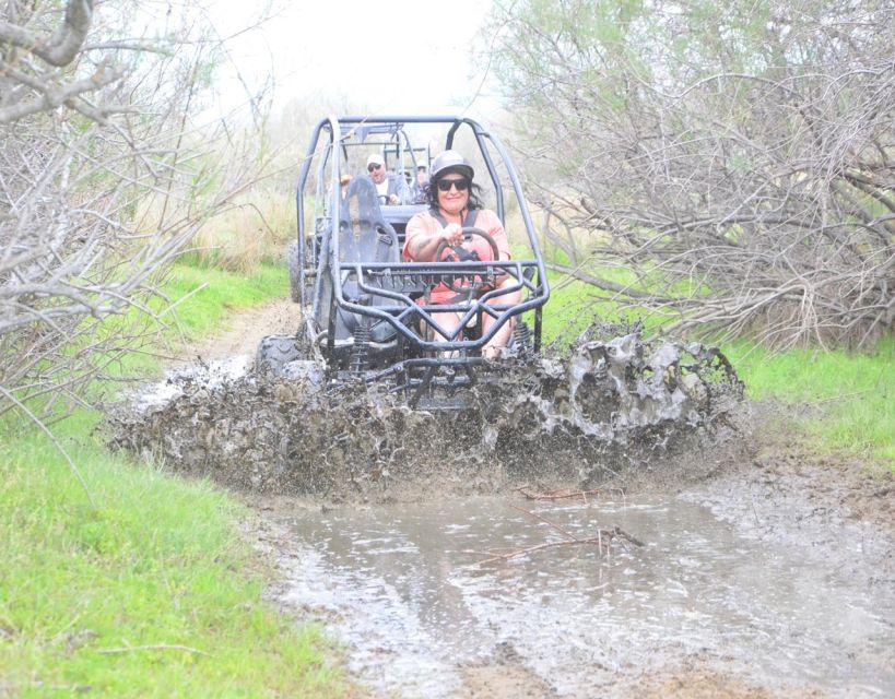 Kusadasi: Buggy Safari Experience with Hotel Pickup - From Hotel Gate to Pine Forest