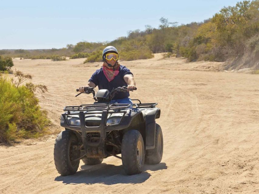 Kusadasi: Guided Quad Biking Tour - From Kusadasi hotel or port to the forest start