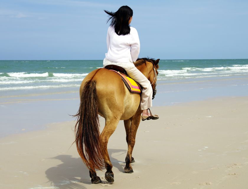 Kusadasi: Horse Riding Beach and Forest w/Transfer - Leaving Kusadasi for the Horse Ranch