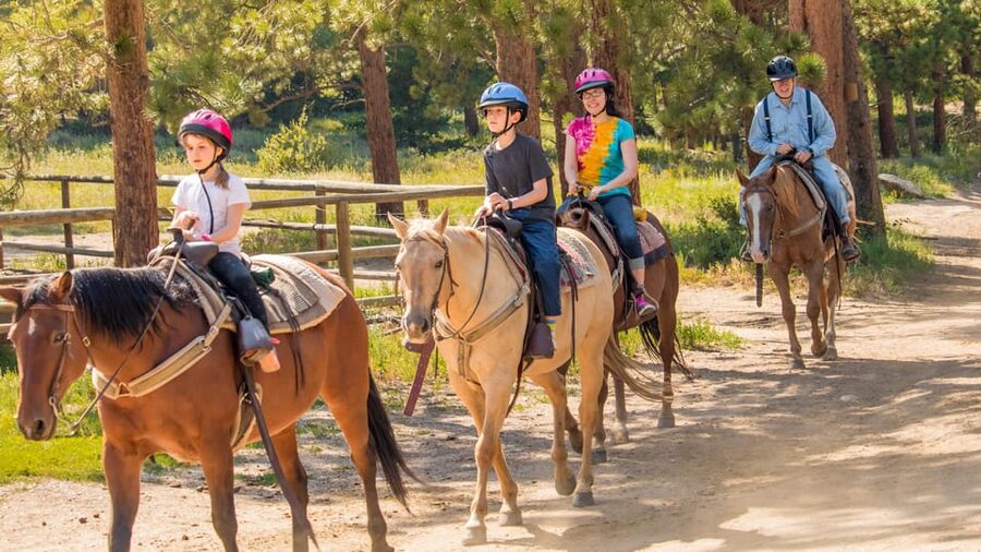 Kusadasi: Horse Riding Beach and Forest w/Transfer - A Calm Introduction to Horseback Riding