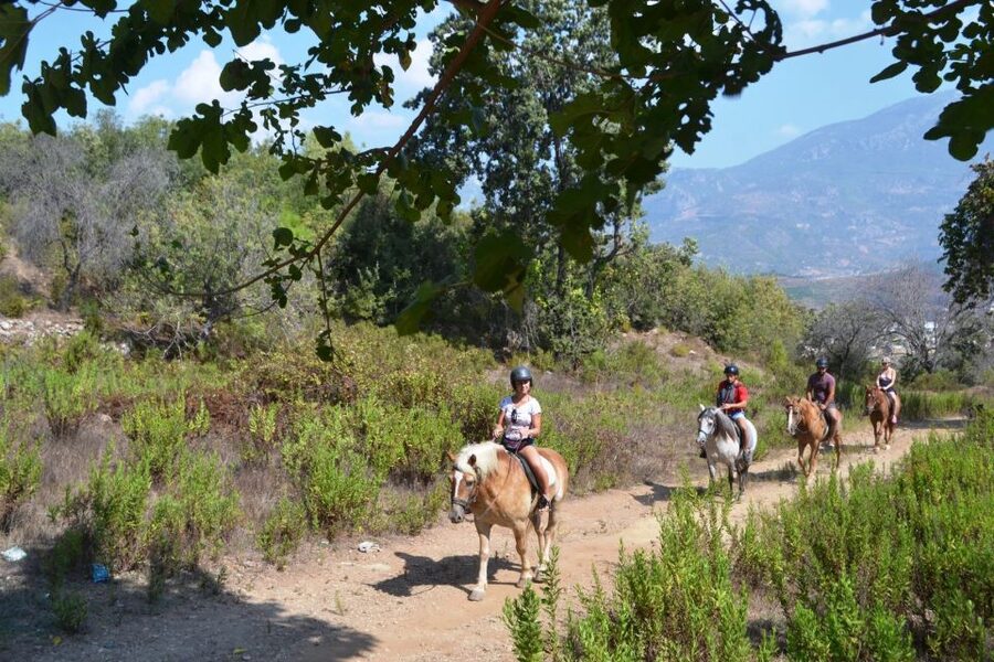 Kusadasi: Horse Riding Beach and Forest w/Transfer - Reaching the Beach on Horseback