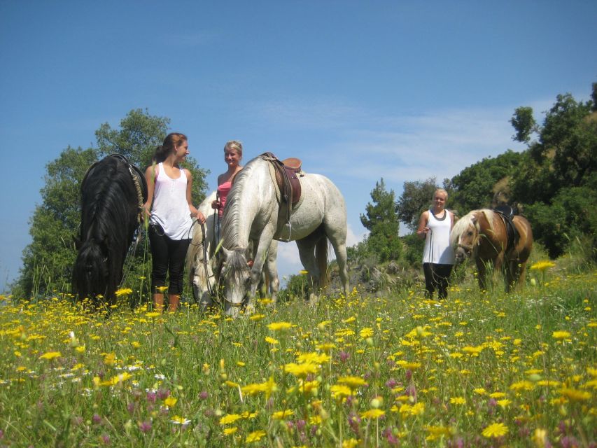 Kusadasi: Horse Riding Beach and Forest w/Transfer - Should You Book the Horse Ride?