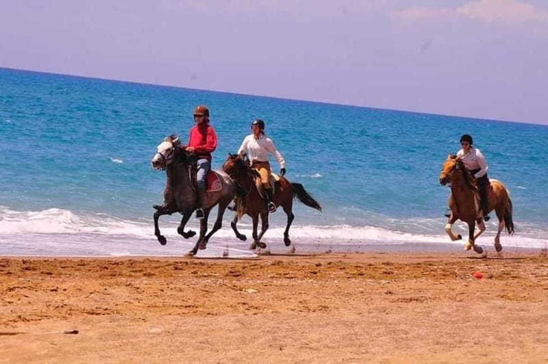 Manavgat Side: Horse Riding on the Beach and in the Forest - Key points before you book