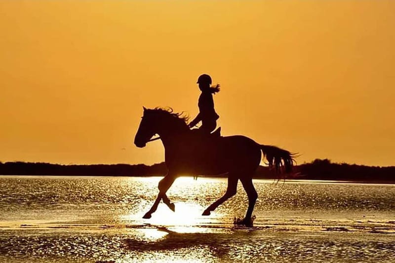 Manavgat Side: Horse Riding on the Beach and in the Forest - Forest paths first, beach sand second