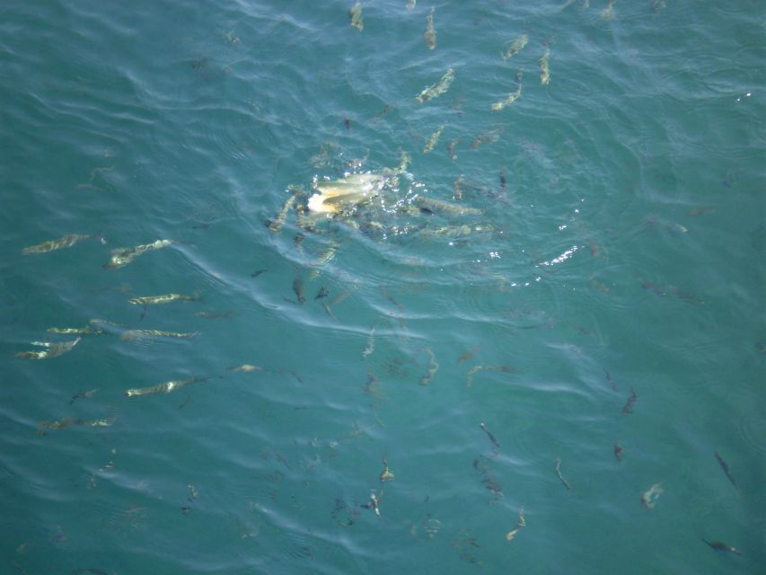 Marmaris Full-Day Boat Trip with Unlimited Soft Drinks+Lunch - Boat comfort, crowding, and service
