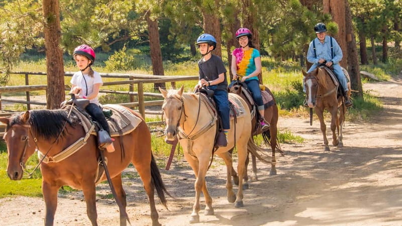 Marmaris: Horse Riding Experience with Transfer - Key points to know before you book
