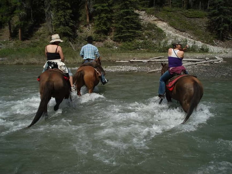 Marmaris: Horse Riding Experience with Transfer - From Marmaris hotels to the ranch