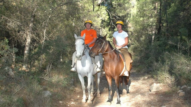 Marmaris: Horse Riding Experience with Transfer - Pine forests, orange groves, and village views