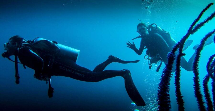 Marmaris: Scuba Diving Experience with 2 Dives and Lunch - A first underwater taste off the Marmaris coast