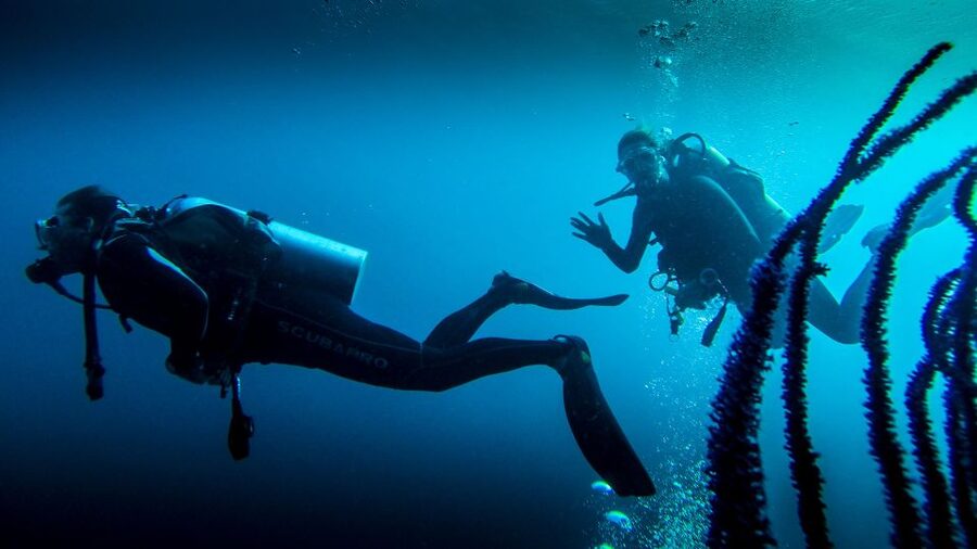 Marmaris: Scuba Diving Experience with 2 Dives and Lunch - The land briefing is more important than it sounds