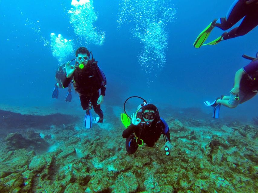 Marmaris: Scuba Diving Experience with 2 Dives and Lunch - The first session helps you get comfortable
