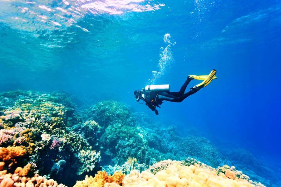 Marmaris: Scuba Diving Experience with 2 Dives and Lunch - Lunch is light, and that is intentional