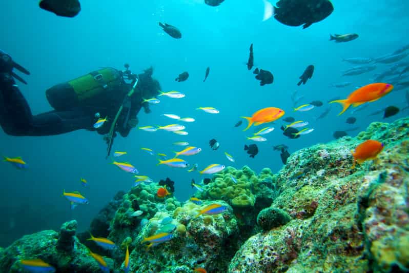 Marmaris: Scuba Diving with a Qualified Instructor - Marmaris from the boat, then below the surface