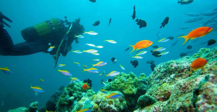 Marmaris: Scuba Diving with a Qualified Instructor - Getting comfortable with the equipment