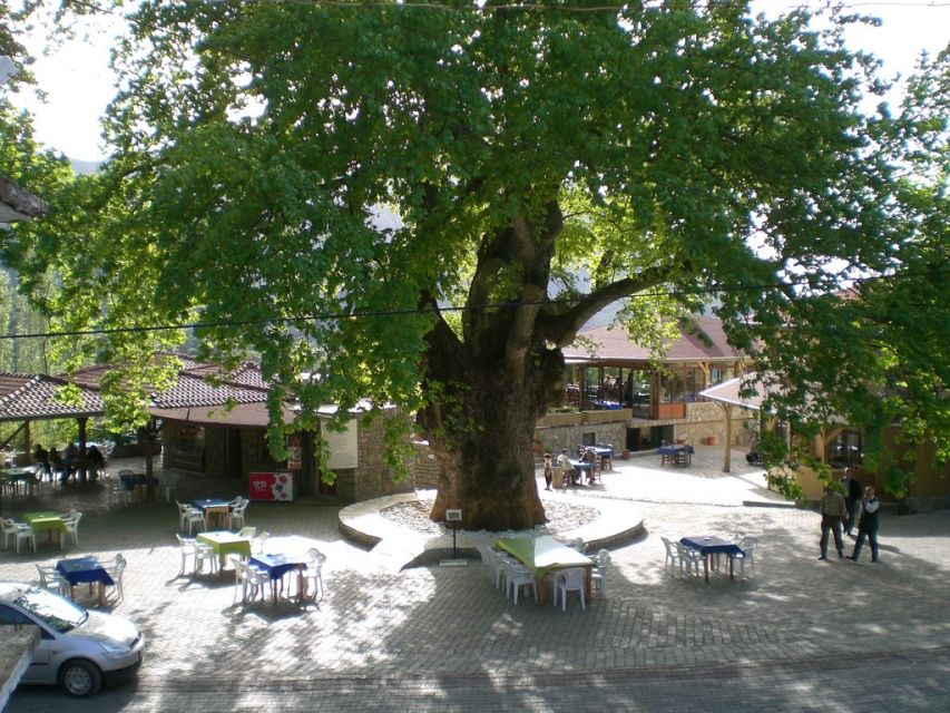 Marmaris Village Tour, Turgut Waterfalls and Mermaid Sand - Carpet weaving and the question of sales