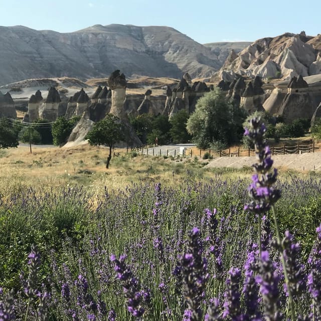 Mochiron Tour Full day Cappadocia With Japanese Guide - Timing, transport, and the value of $118