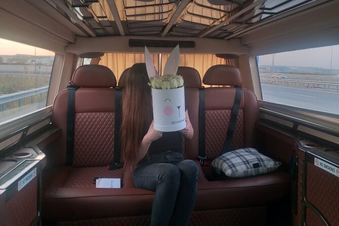 Private Istanbul Airport (IST) Transfer To/From City Center - Who Gets The Best Value