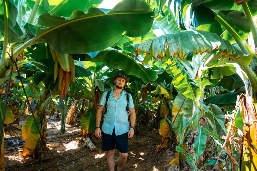 Sapadere Tour with Dimçay Lunch, Cave, Tropical Fruit Garden - Dim Cave: cool air and dramatic rock formations