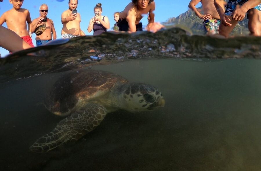 Sarigerme: Dalyan, Turtle Beach, Mud Bath, & King Tombs Tour - Getting muddy at the sulfur pools